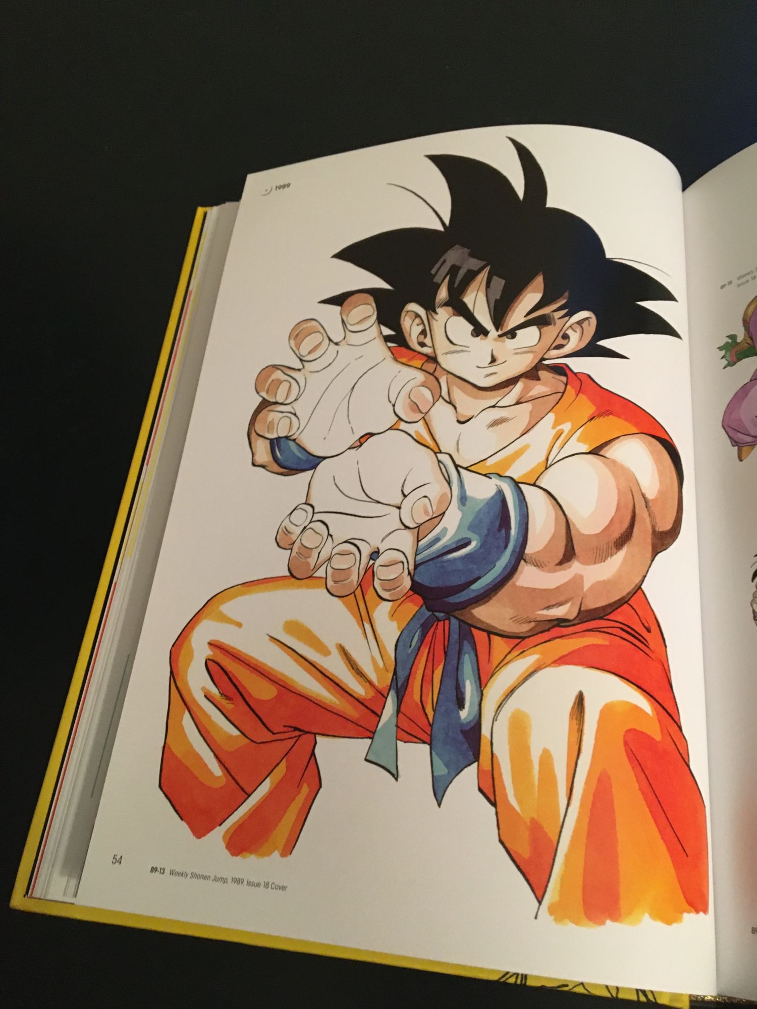 VIZ  See Dragon Ball: A Visual History