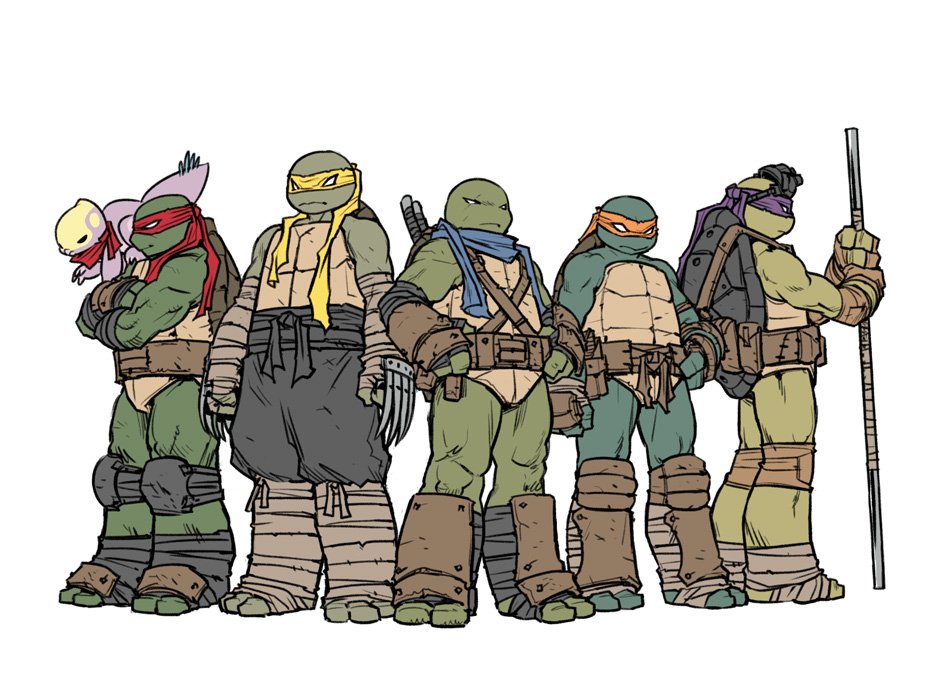 A team of canon Girl Turtles™ (Redesigned.) : r/TMNT