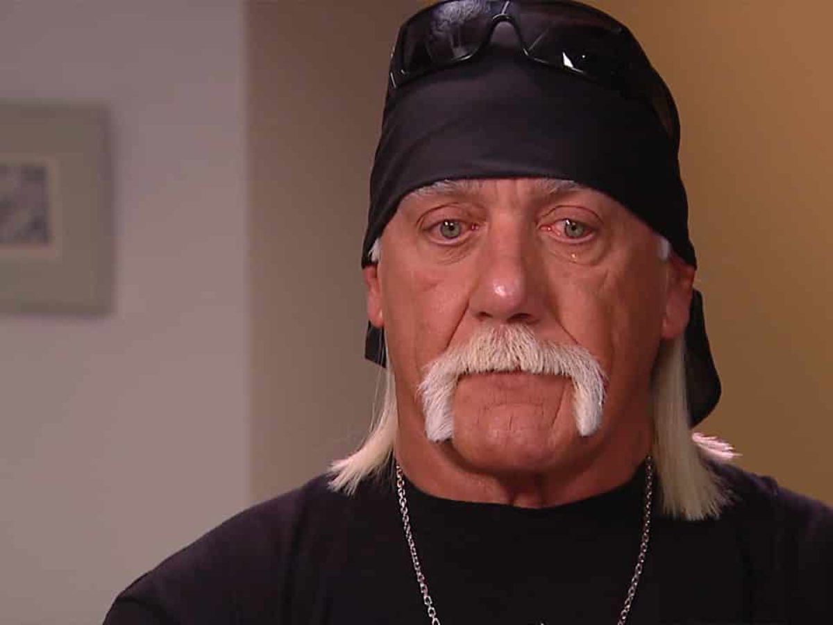 retort vask Derbeville test WWE Downplays Hulk Hogan Appearance as Hulkster Denies Return