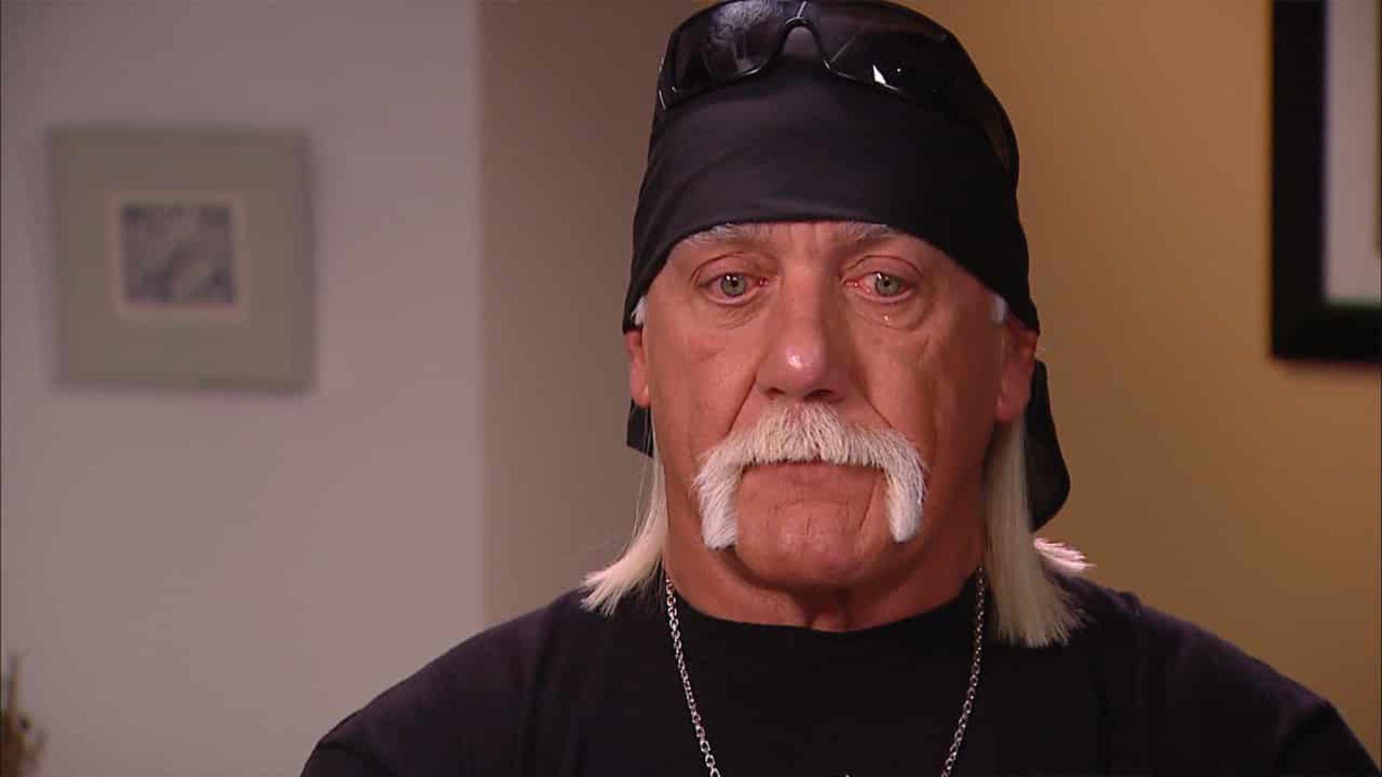 Hulk Hogan and Entourage Help Rescue Car Crash Victim in Florida