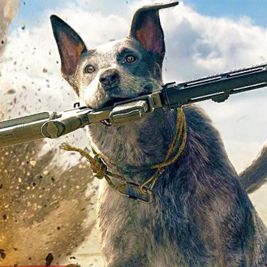 Get A Better Look At Your Potential Doggy Companion Boomer In Far Cry 5