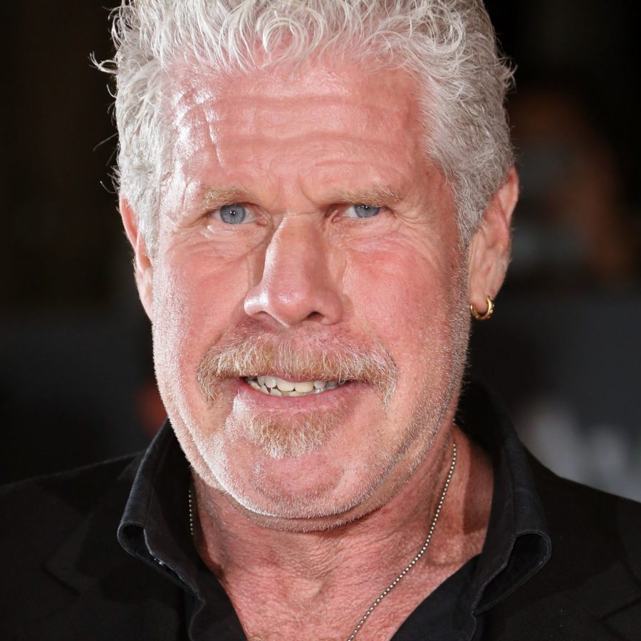 Monster Hunter  Ron Perlman e T.I. Harris se juntam ao elenco do filme