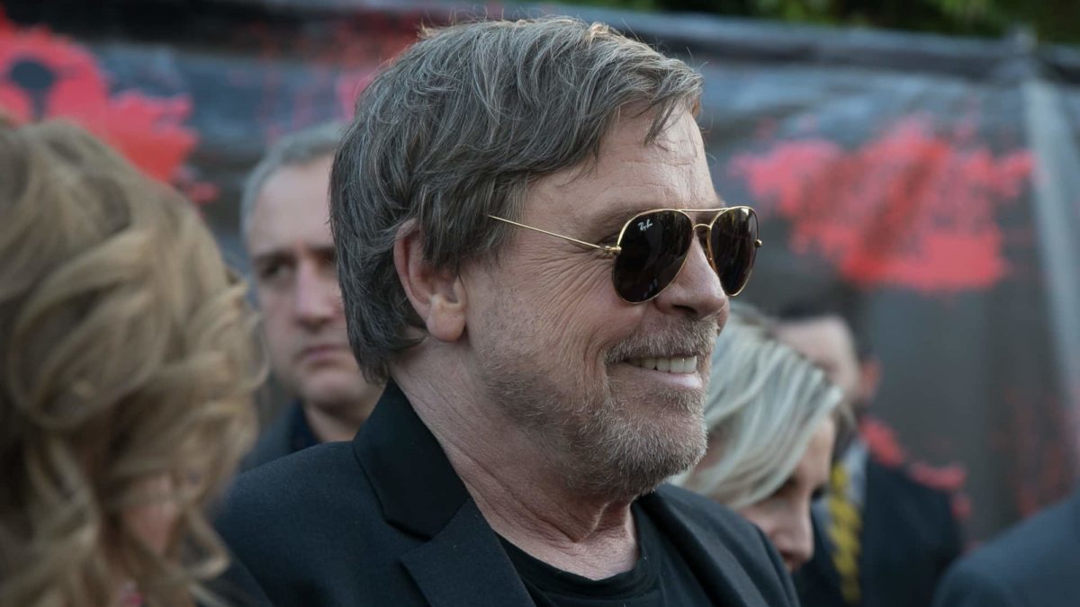 Star Wars' Is Taking A Break After 'Episode IX' — Even Mark Hamill Has  Franchise Fatigue