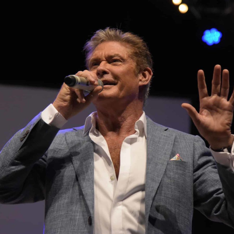 David Hasselhoff Covers the Jesus and Mary Chain's “Head On”: Listen |  Pitchfork, image size:900x900