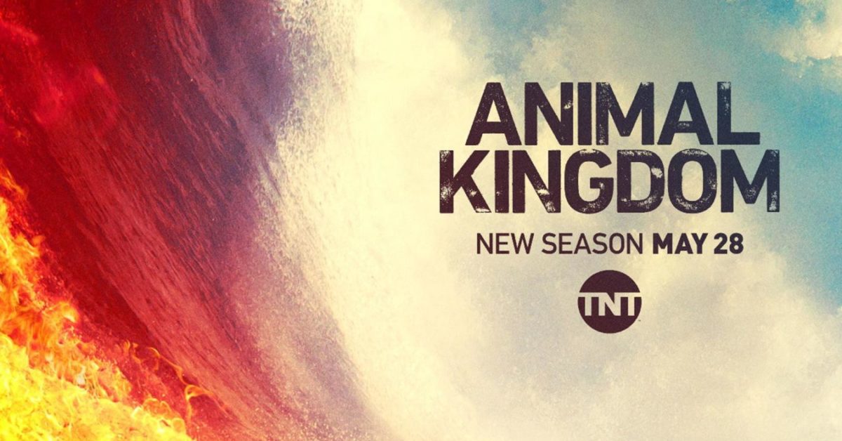 'Animal Kingdom' Season 4: On May 28, Smurf is Back in Business [Trailer]