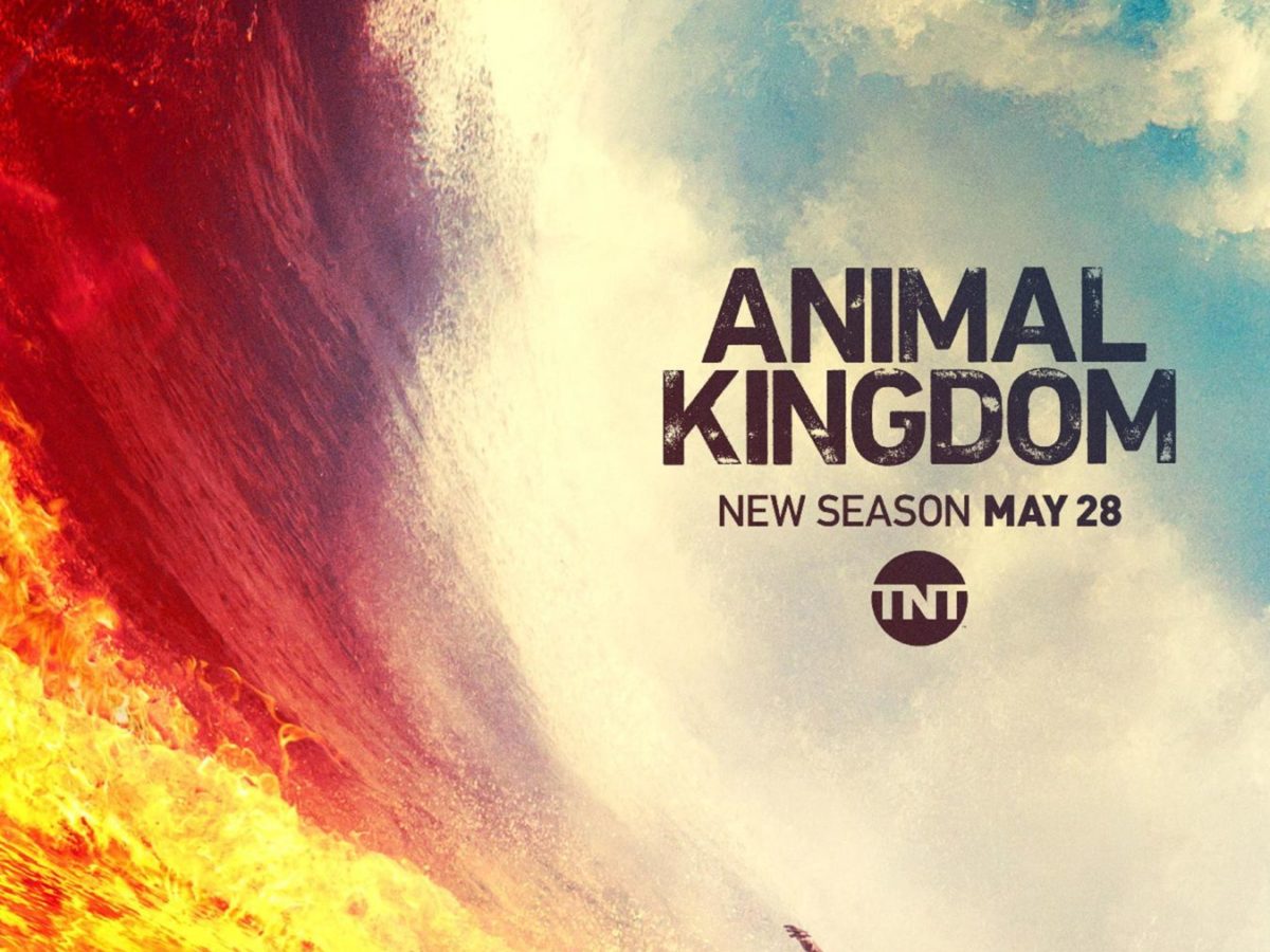 Animal Kingdom' Season 4: On May 28, Smurf is Back in Business [Trailer]