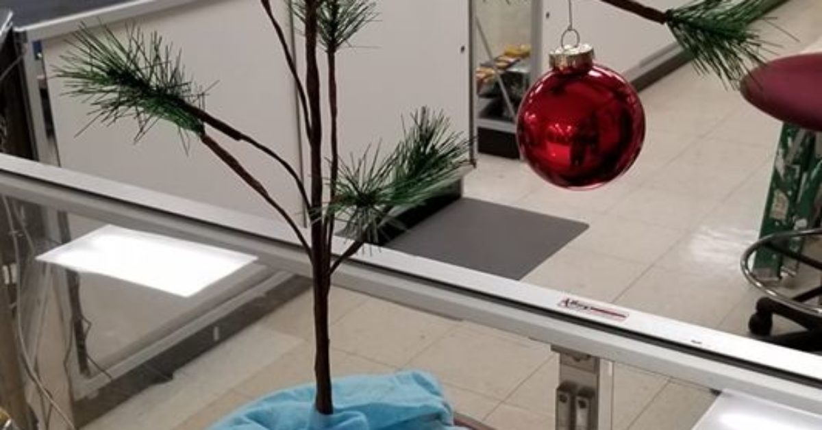 Facebook Marketplace St Louis Area Literacy Basics