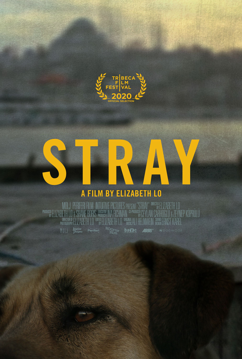 stray trailer News, Rumors and Information Bleeding Cool News And