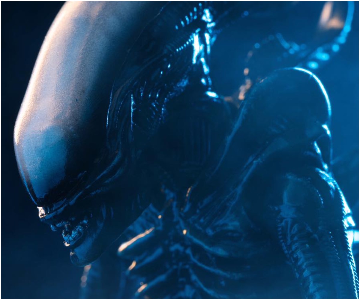 prime 1 studio alien big chap