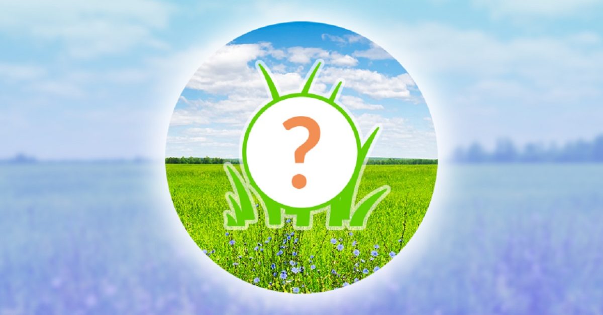 "Pokémon GO" Reveals The April 2020 Spotlight Hours