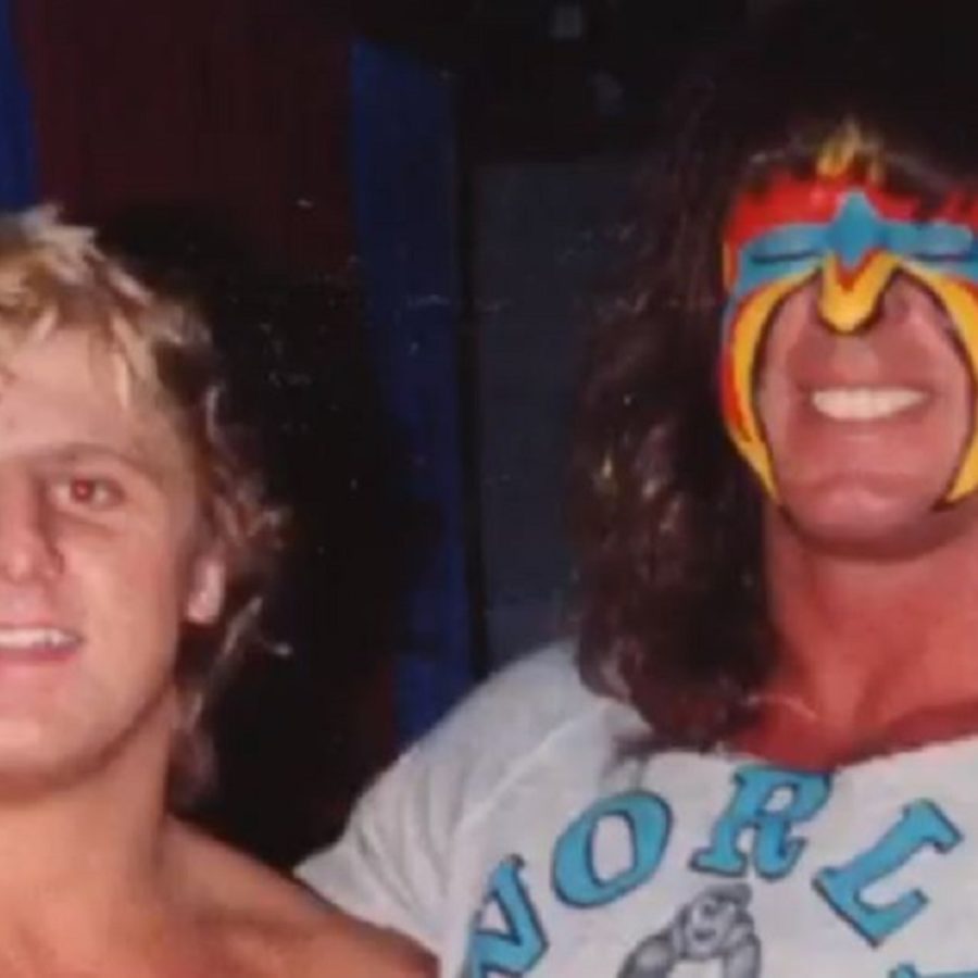 Owen Hart, Pro Wrestling