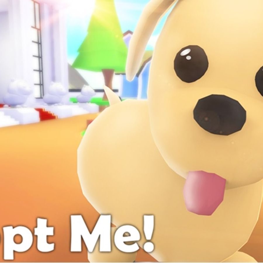 NEW* PET AGE UP HOUSE in ADOPT ME! Let's Build (roblox) 