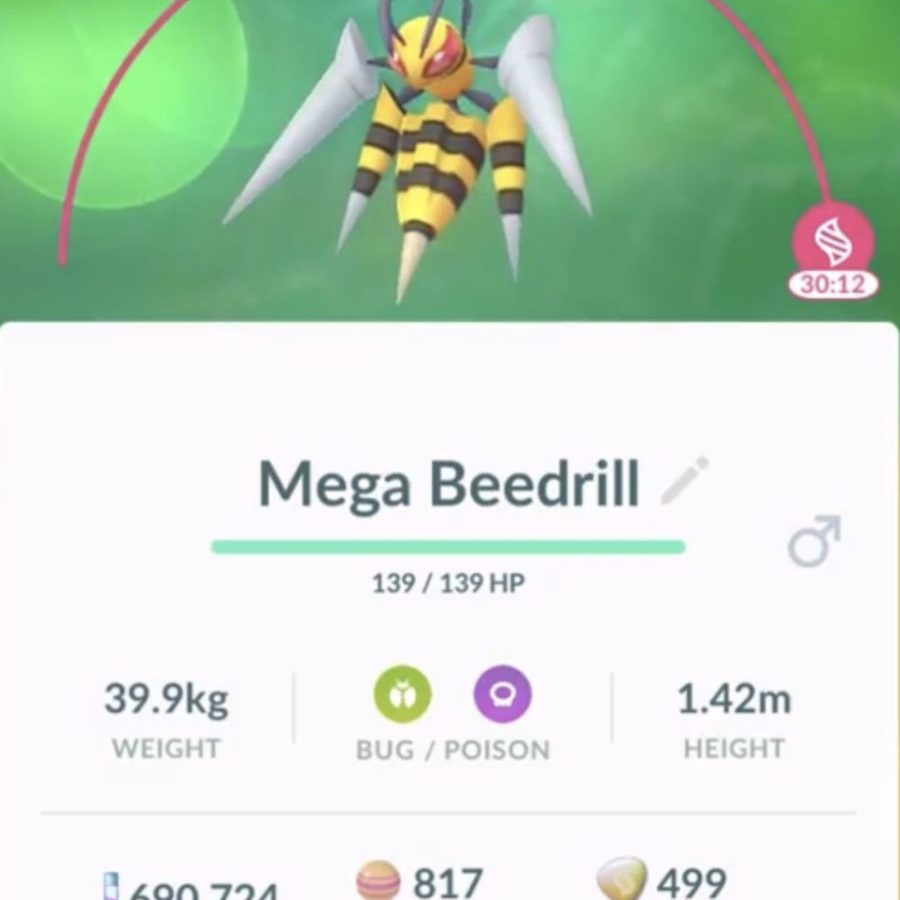Mega beedrill pokemon
