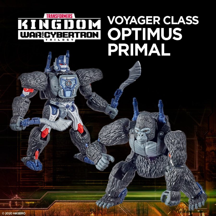 hasbro pulse optimus primal