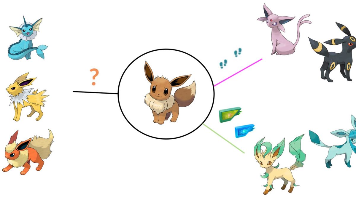 Eevee Evolution Chart  Pokemon, Eevee evolutions, Pokemon eevee