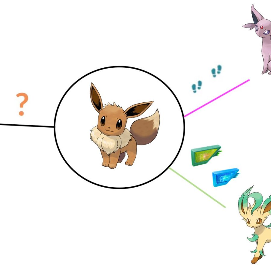 What does your Eevee evolve into?