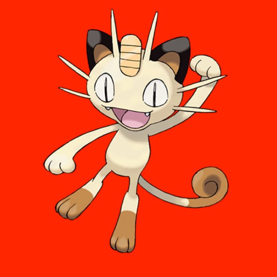 Meowth and I have gone through it #pokemon #pokemongo