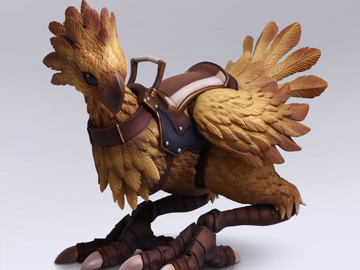 What would you name this floppy chicken? r/Floof