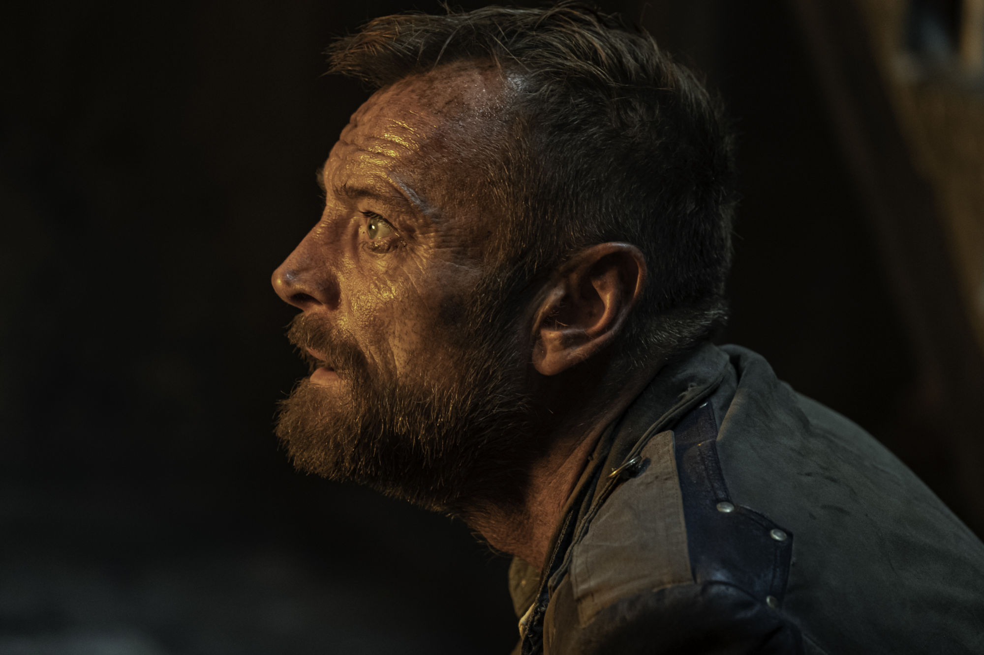 Richard Dormer News, Rumors and Information Bleeding Cool News And