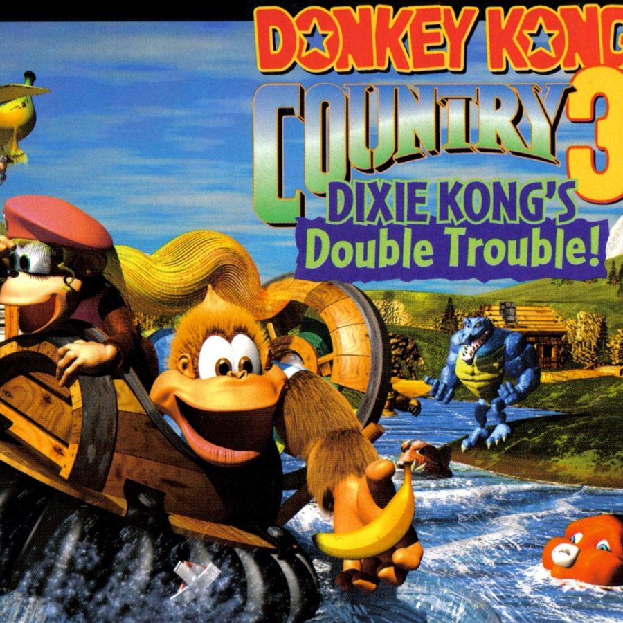 donkey kong country 3 nintendo switch