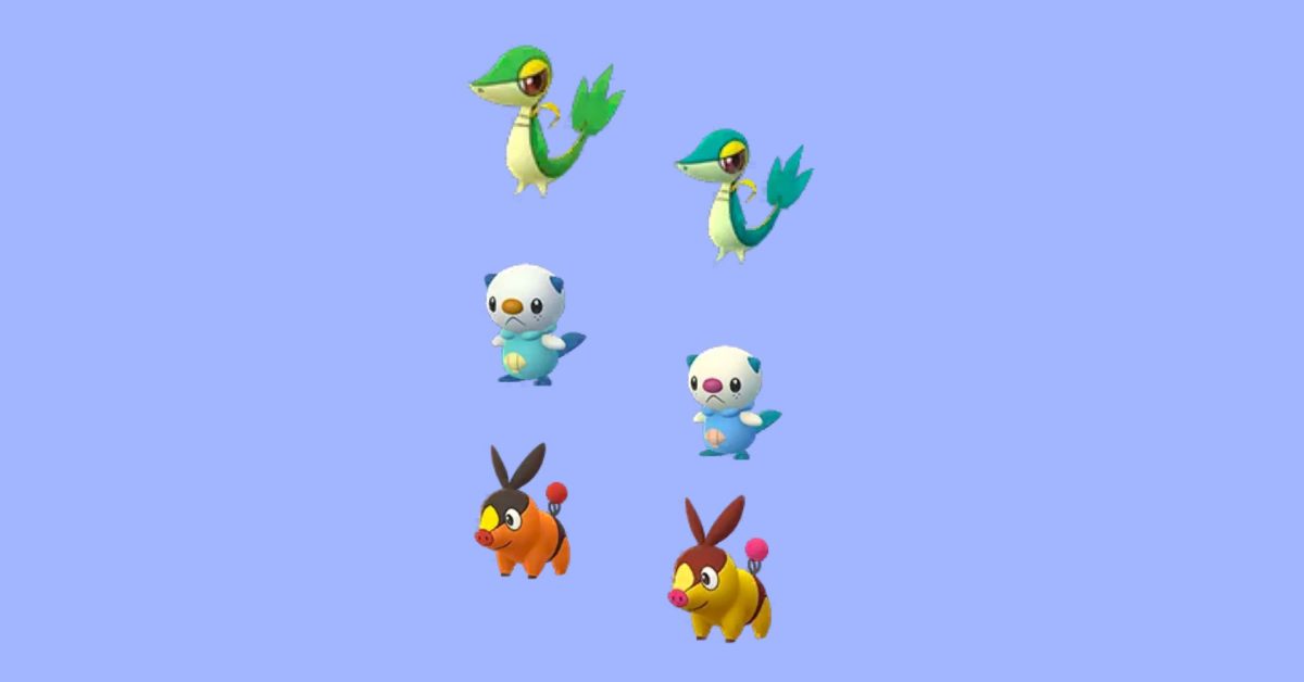 shiny Unova starters :D  Shiny pokemon, Pokemon, Pokemon images