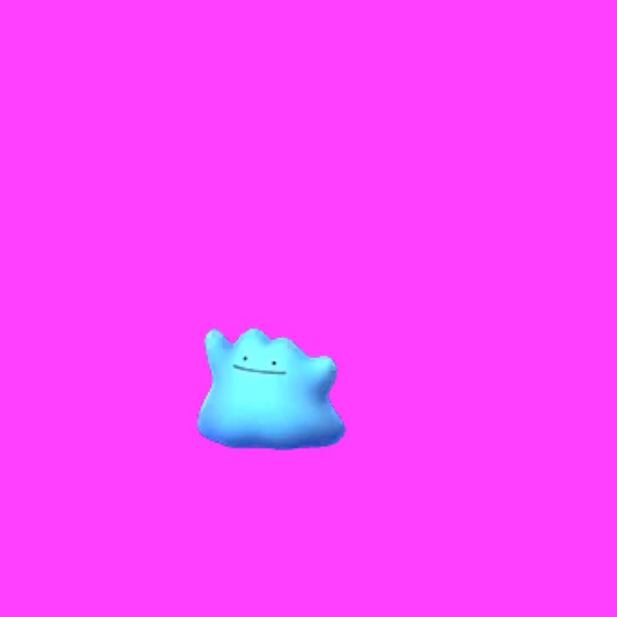 Pokémon ditto and shiny ditto 2 2 - transform