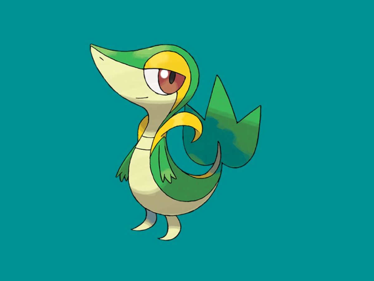 Snivy being a smug bitch for nearly 5 minutes straight  YouTube