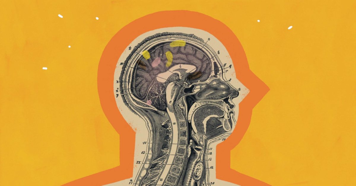 Headspace Guide to Meditation Offers MuchNeeded Clarity Review