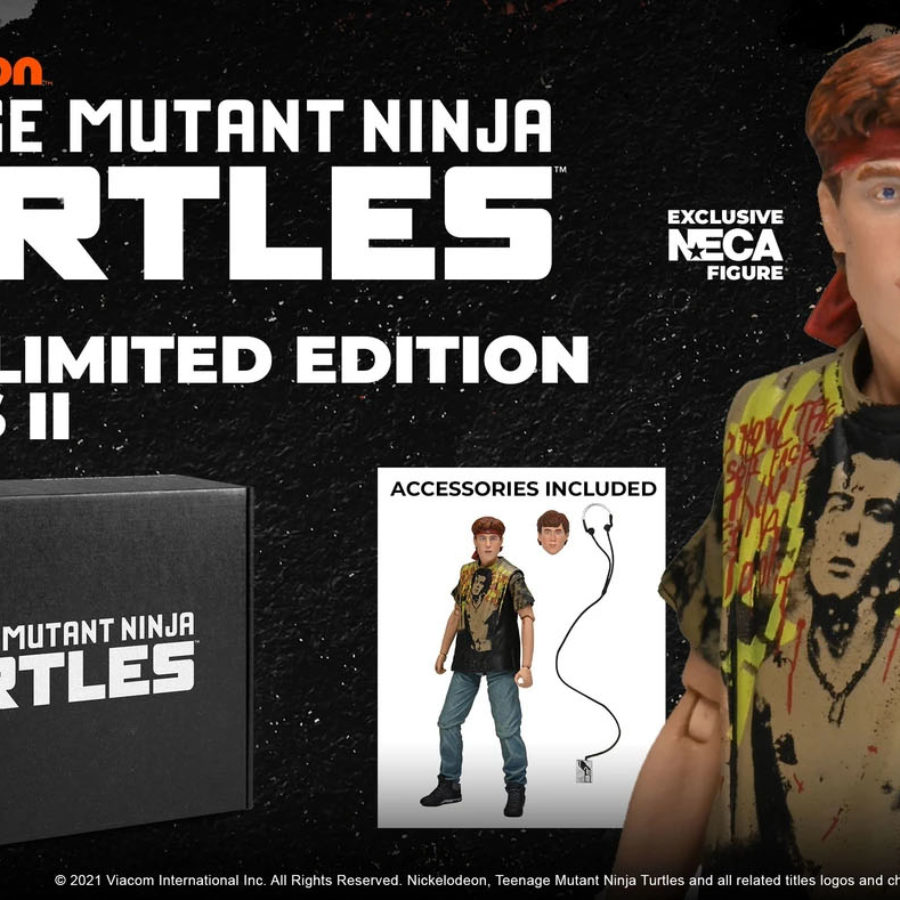 tmnt loot crate danny