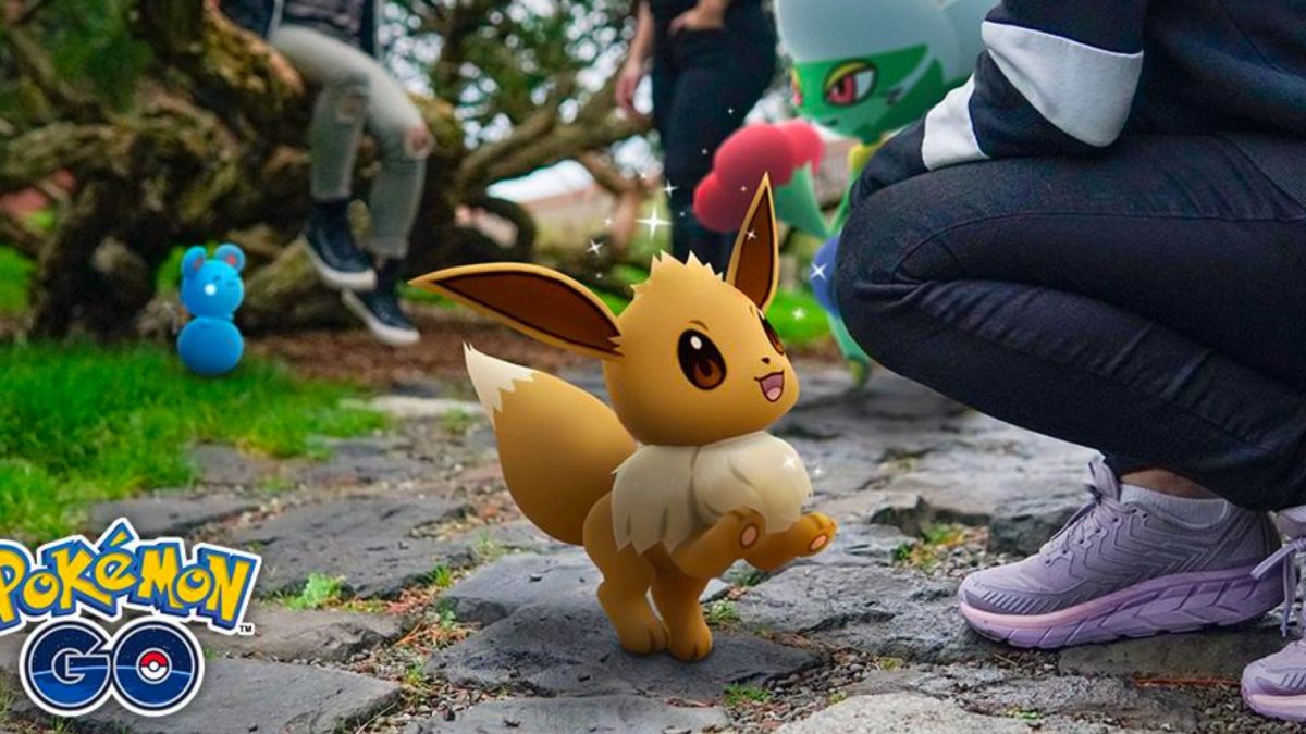 anyone else been searching for a hundo Eevee? : r/pokemongo