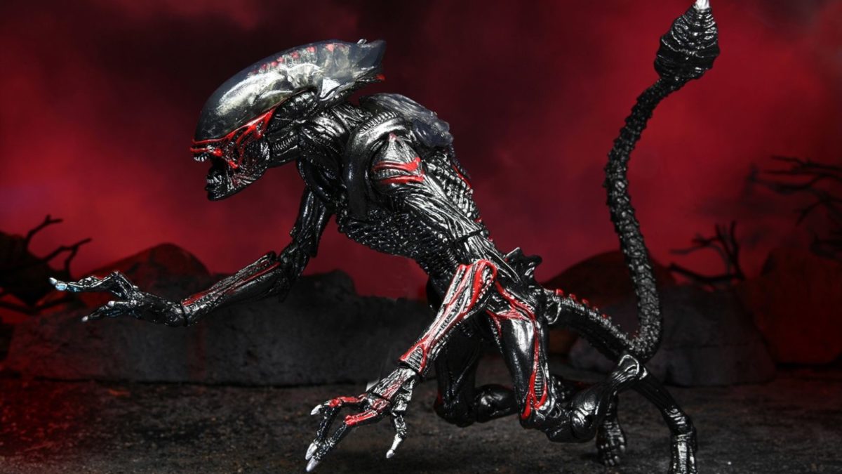 NECA Announces Alien vs Predator 2-Pack - The Toyark - News