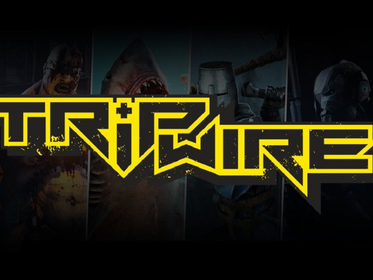 Tripwire Interactive Appoints New CEO After Abortion Backlash