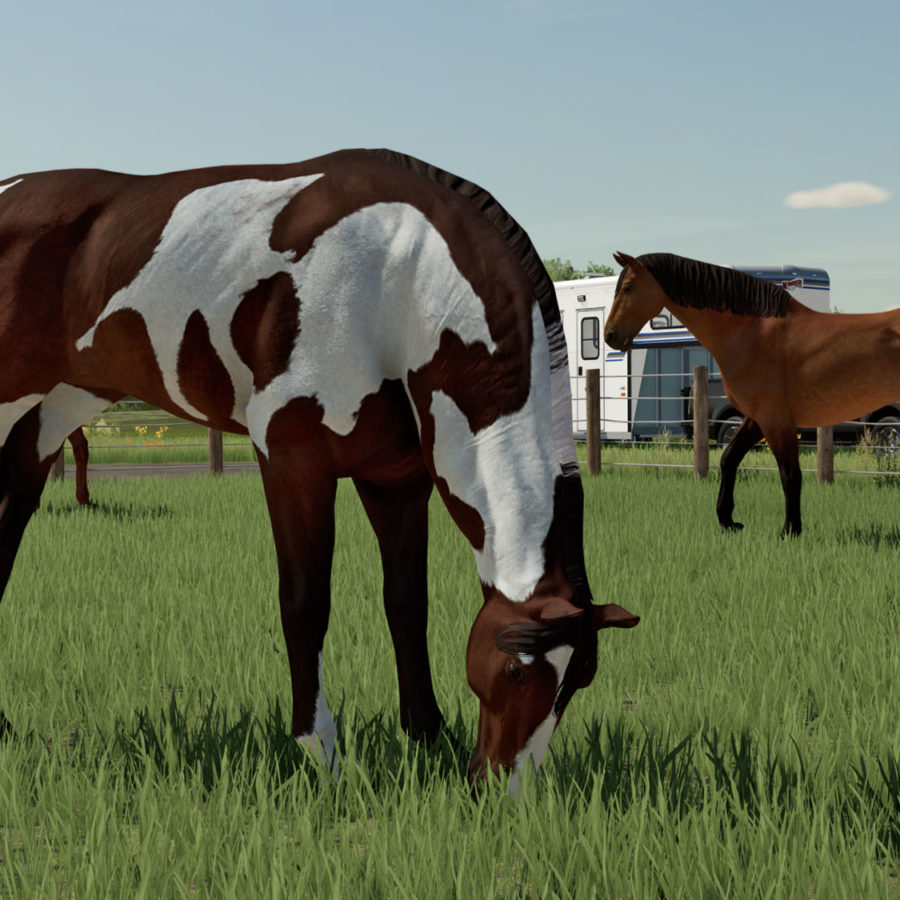 Farming Simulator 22 review - Greener pastures ahead