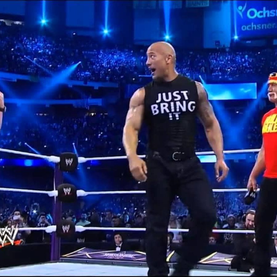 Hulk hogan stone discount cold the rock