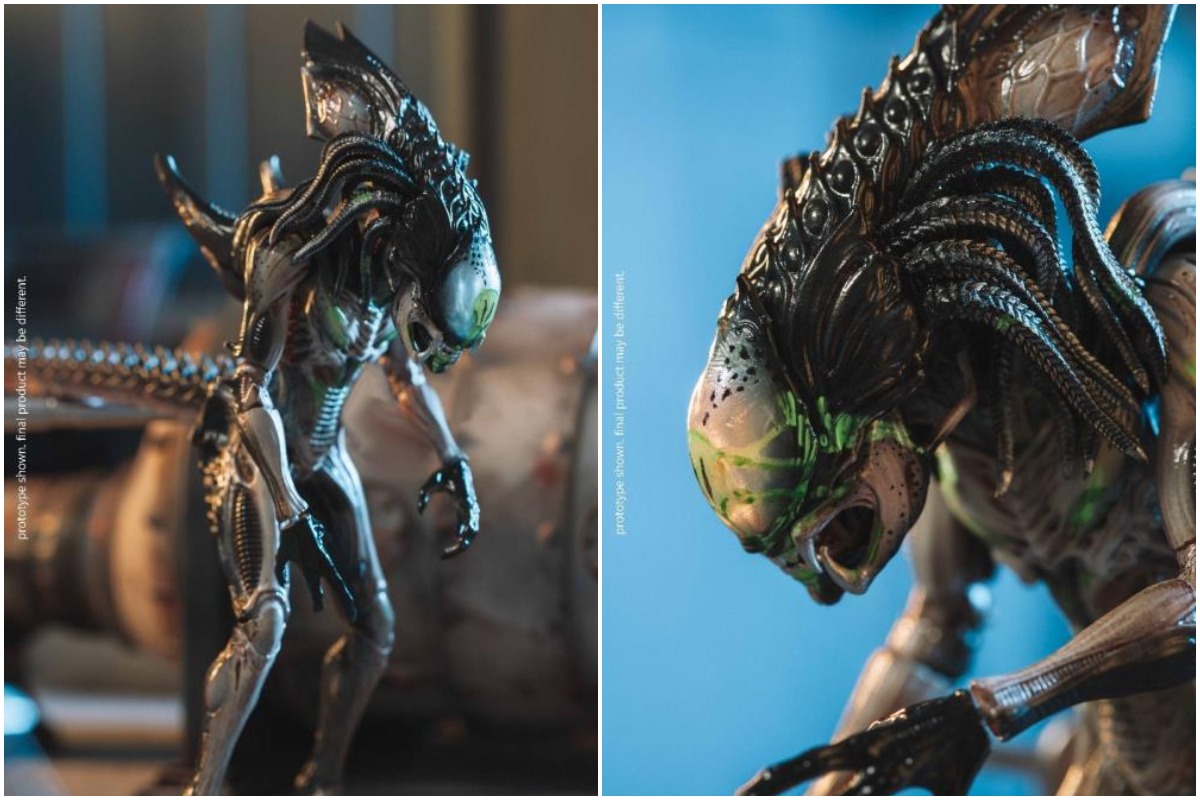 Is Alien vs Predator canon?