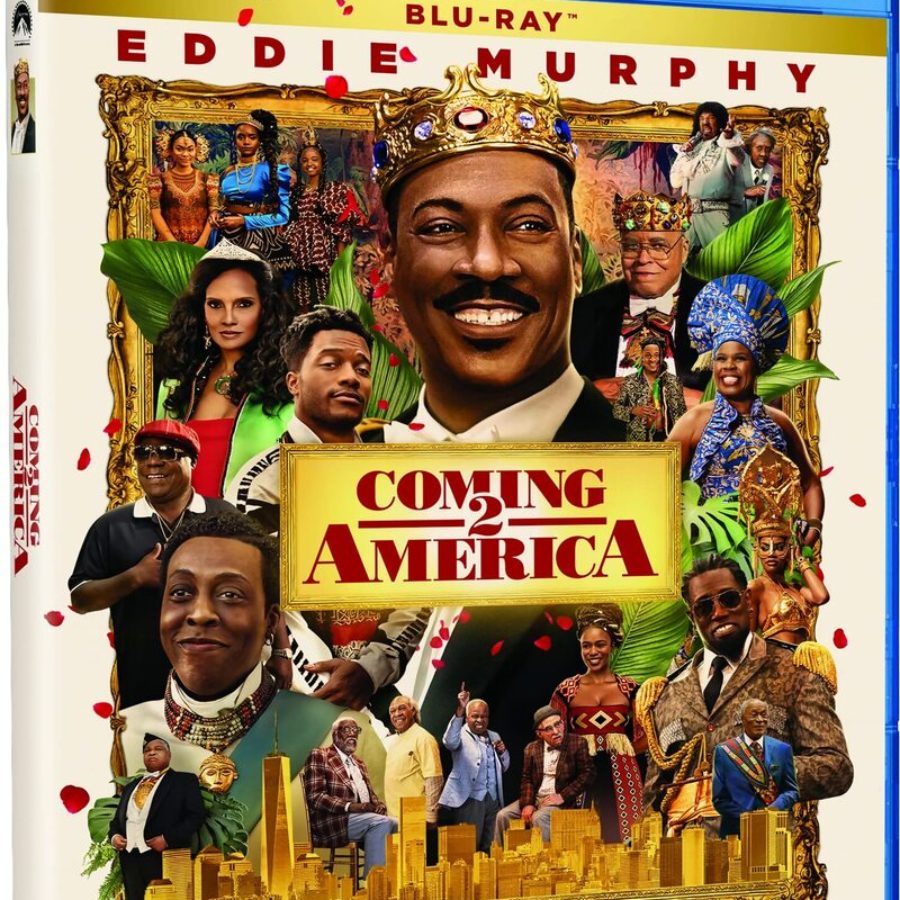coming to america poster