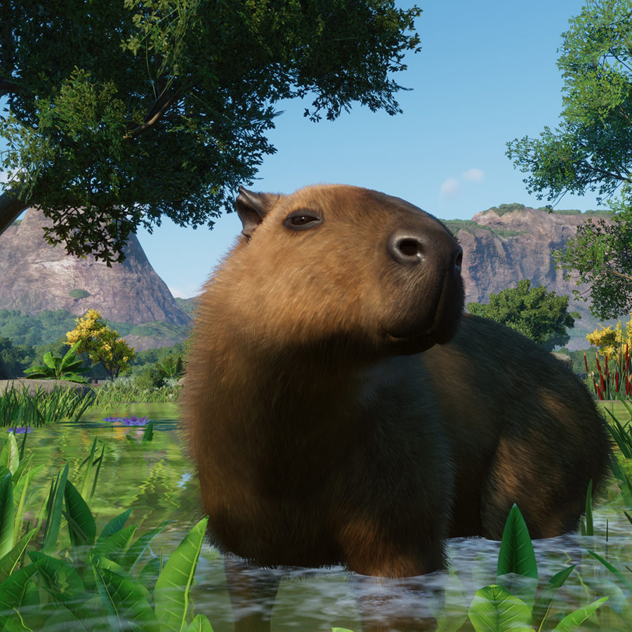 Planet Zoo is not Zoo Tycoon 2, or 3, Page 3