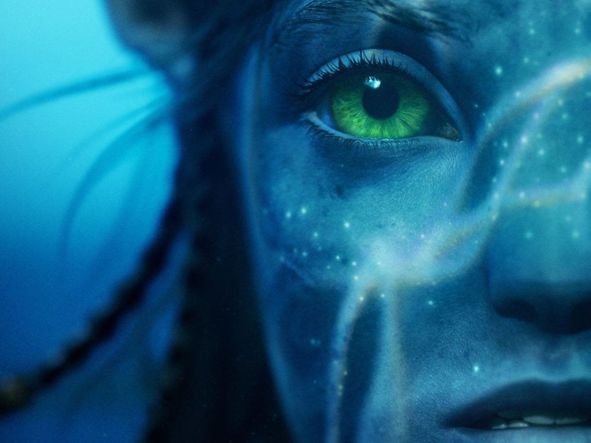 Avatar Way Of The Water Loak 2022 Movie Poster Framed or Unframed G   FunkyGraphix