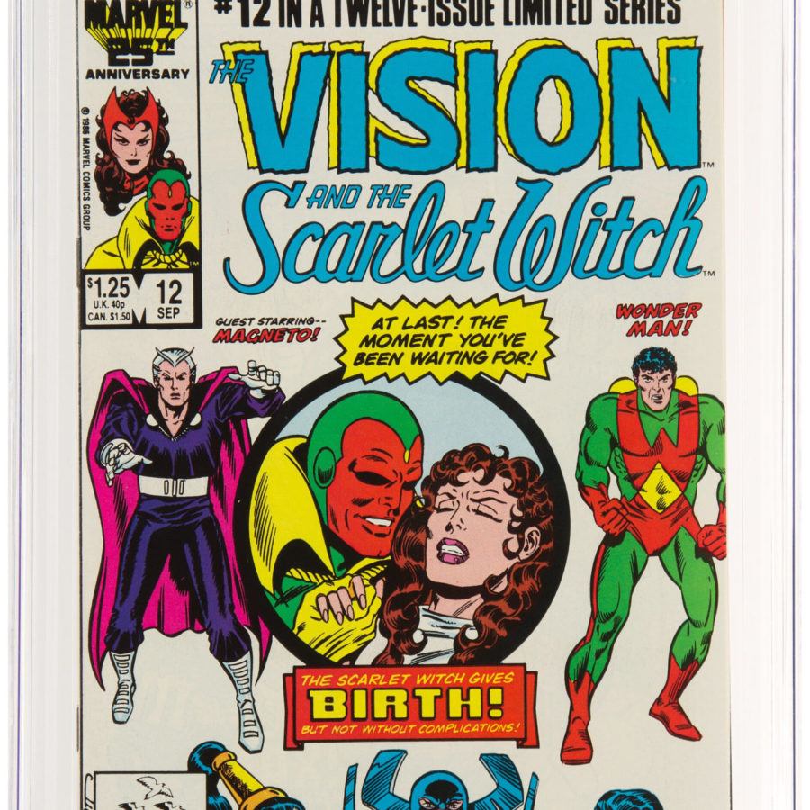 Vision and the Scarlet Witch #8 - Demon Busters (8.0) 1986