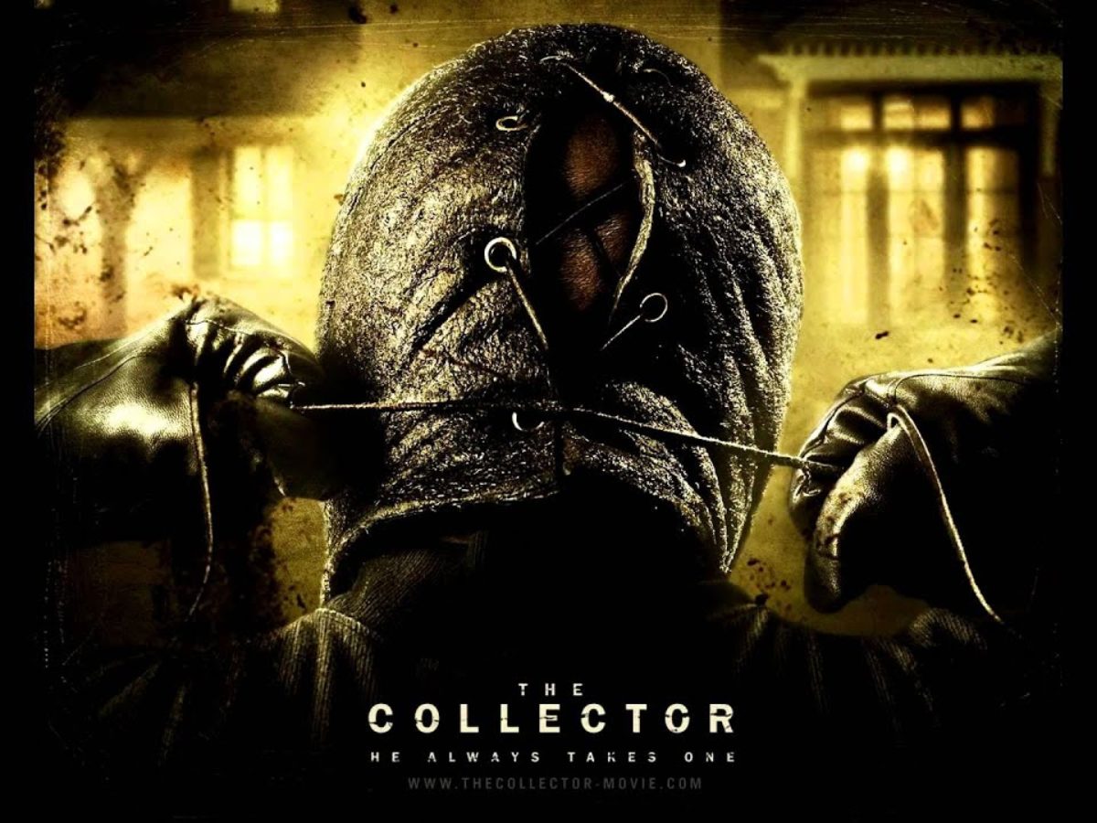 The Collector Director Offers Update on Current Collector 3 Status