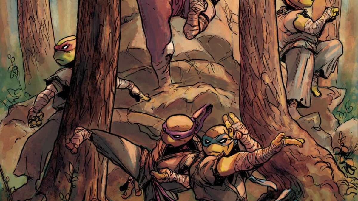 TMNT Entity: Sonic the Hedgehog #10