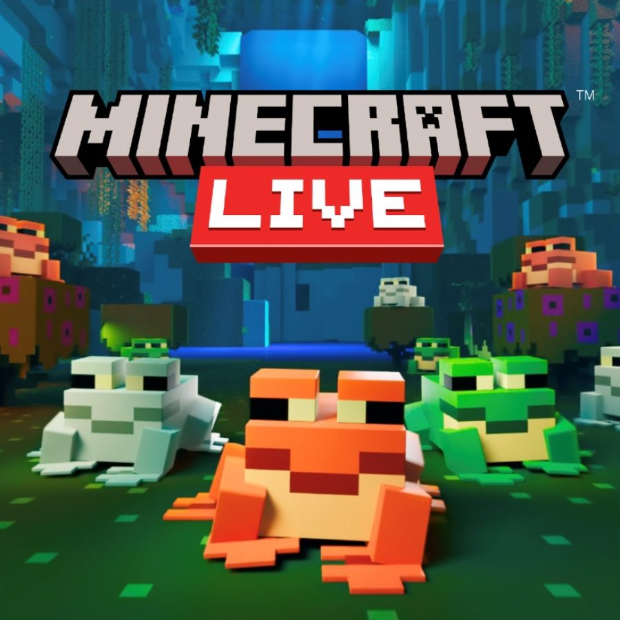 minecraft live leaks