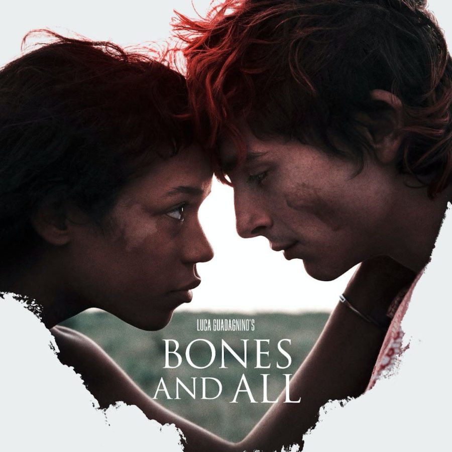 Bones and All Teaser - Timothée Chalamet in Cannibal Love Story