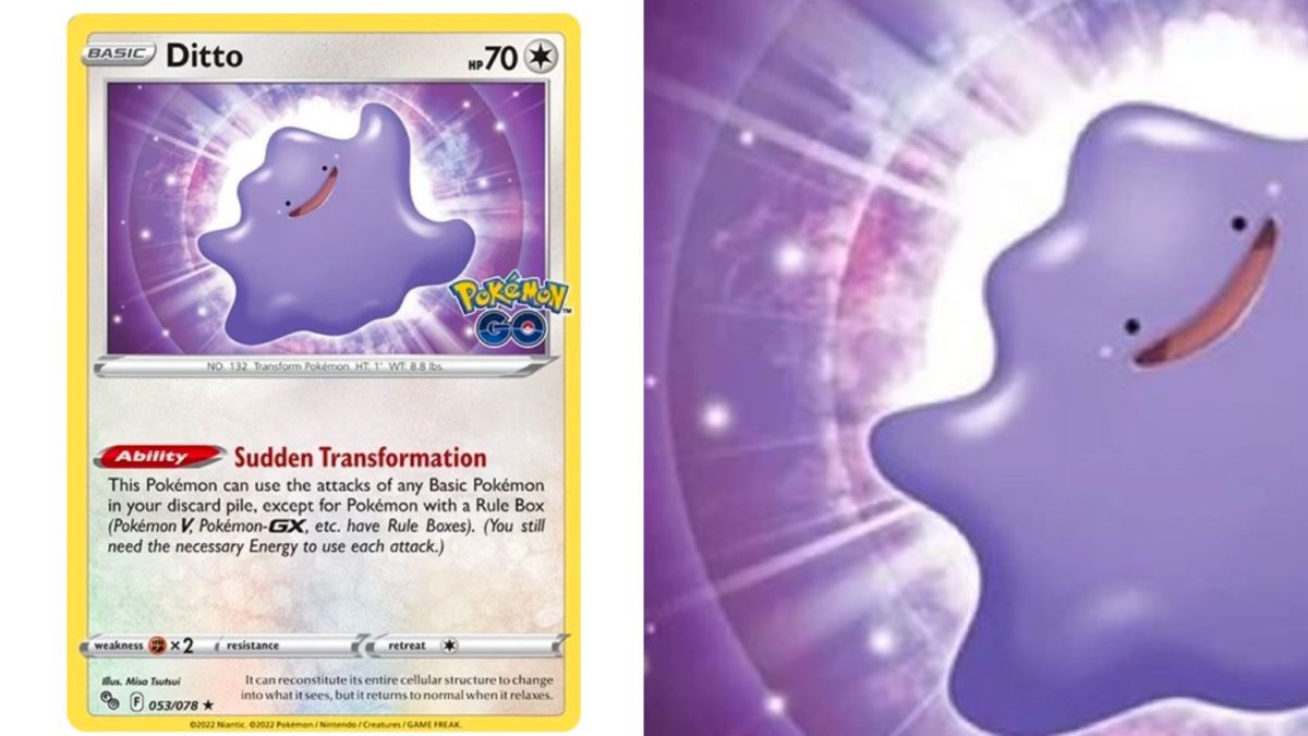 Pokémon TCG Ditto Pokemon GO 053/078 Holo Holo Rare for sale