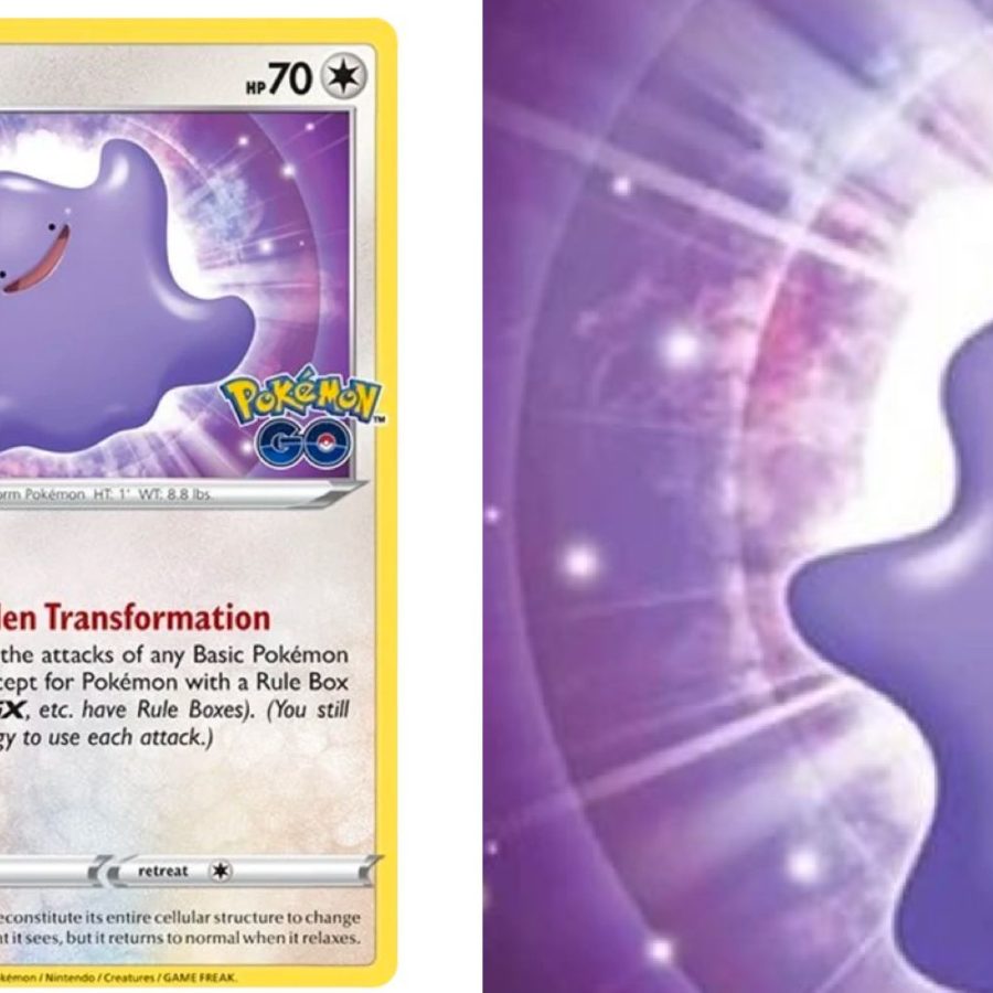 Ditto RG 4  Pokemon TCG POK Cards