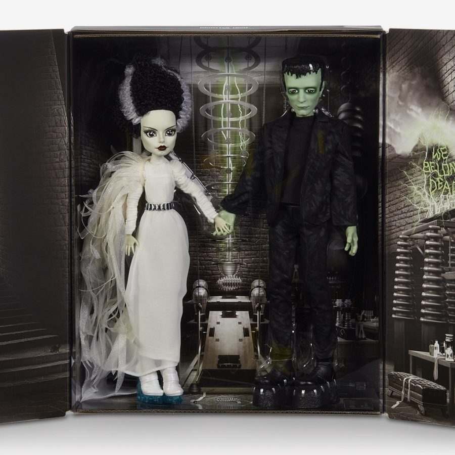 Lokken Smeren Bang om te sterven Monster High Universal Monsters Skellector Doll Set Revealed by Mattel