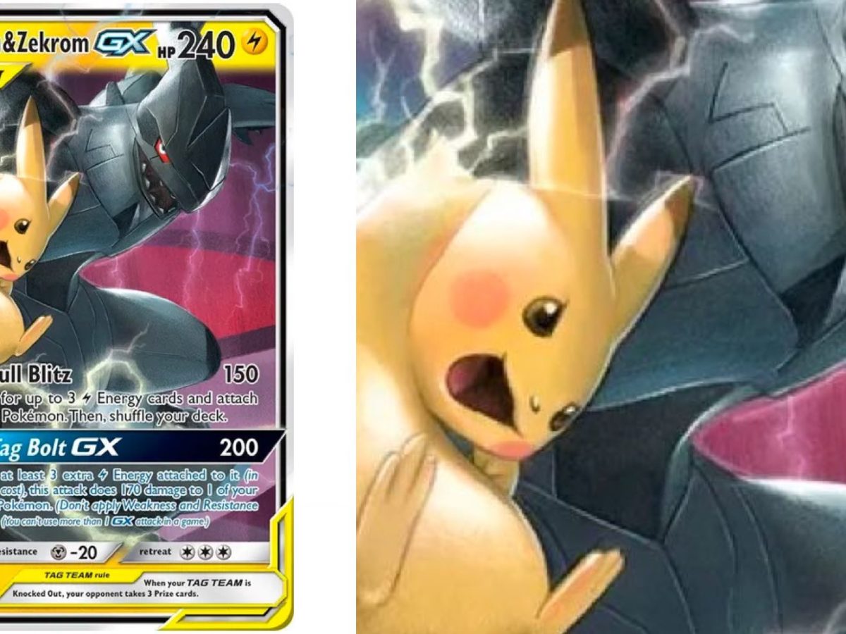 Pokemon Zekrom Pikachu