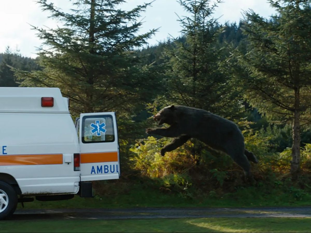 Cocaine Bear' Mauls 'Ant-Man' 3 Box Office