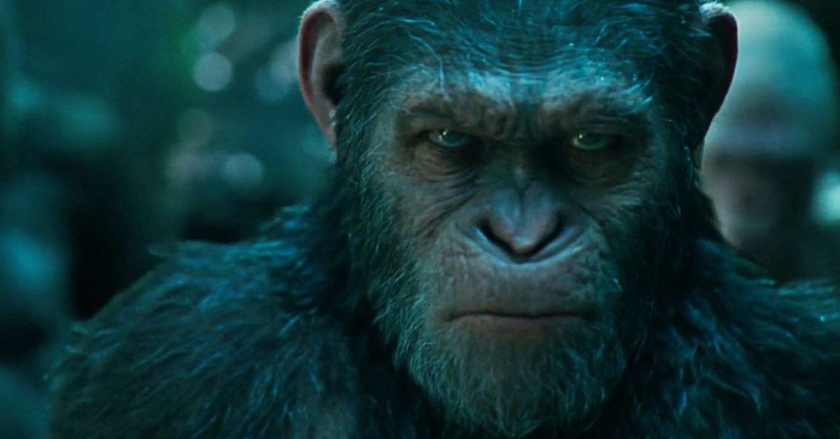 Kingdom of the Planet of the Apes Star Shares Advice from Andy Serkis