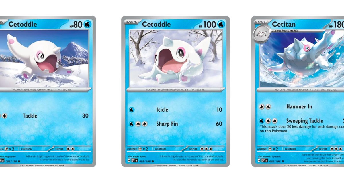 The Cards Of Pokmon TCG: Scarlet & Violet Part 13: Cetoddle Line The Cards Of Pokmon TCG: Scarlet & Violet Part 13: Cetoddle Line